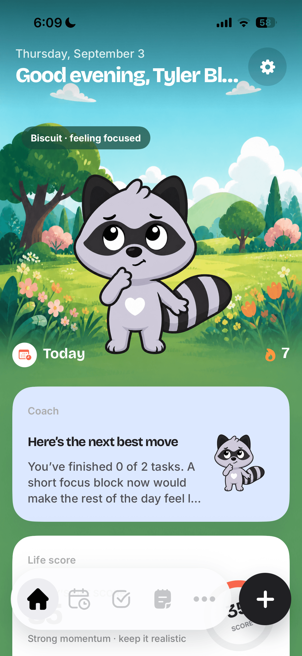 LifePal home screen with a daily overview and raccoon companion